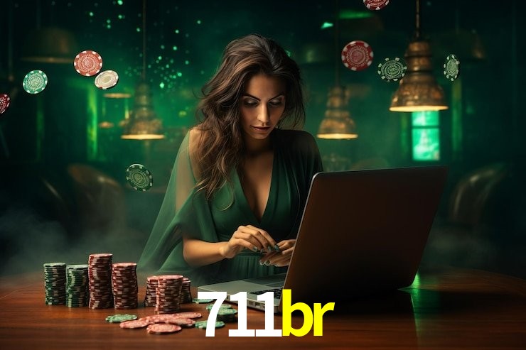 Segurança e privacidade no APP 711br